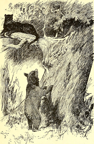 The jungle book 3 400